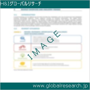 グローバルリサーチ調査レポートのイメージ
